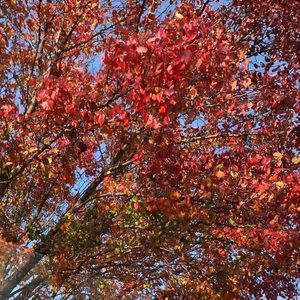 Meet your Posher, Aime